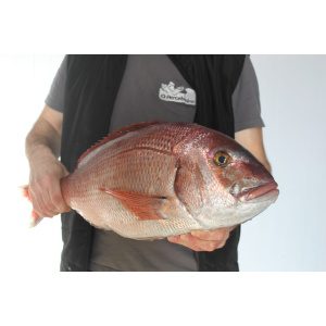 COMPRAR PARGO
